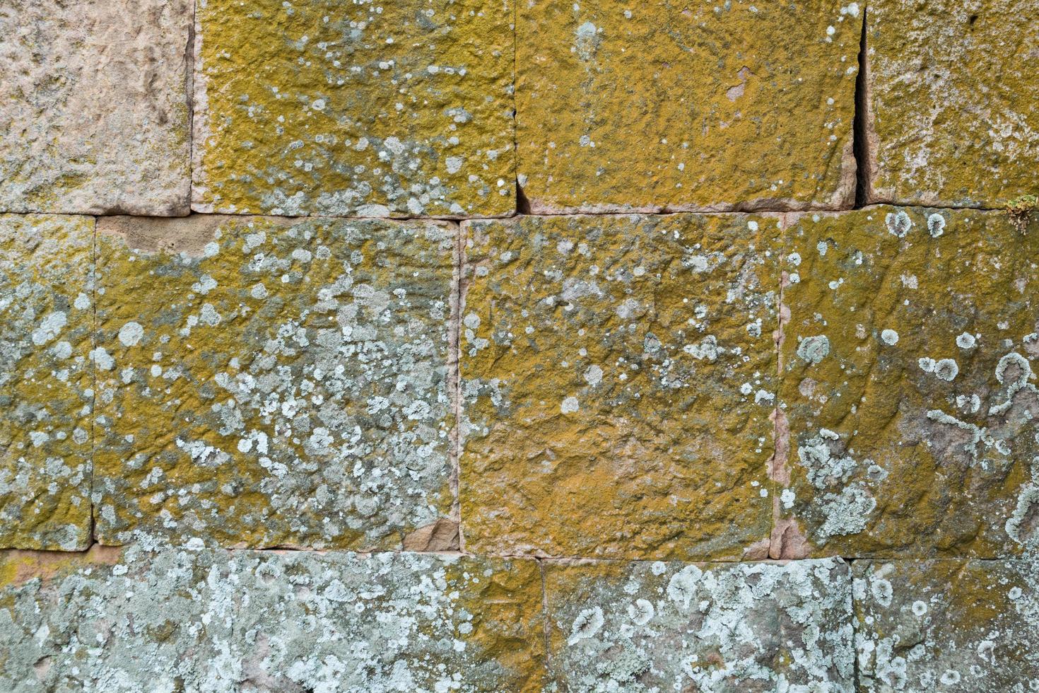 Grey stone covered with dashes of green lichen photo