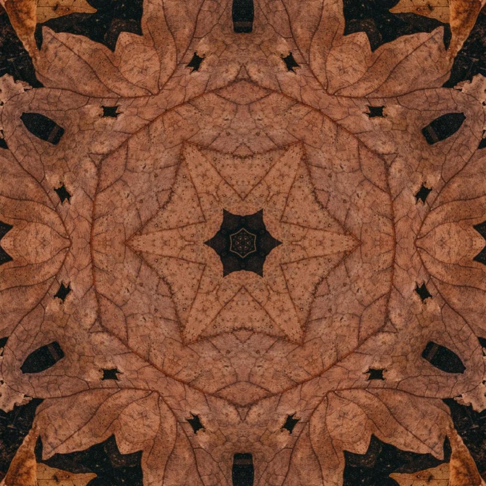 Brown abstract background. Wooden kaleidoscope pattern. Free photo. photo