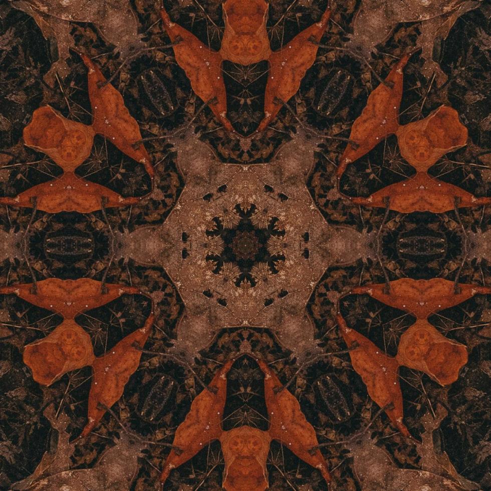 Brown abstract background. Wooden kaleidoscope pattern. Free photo. photo