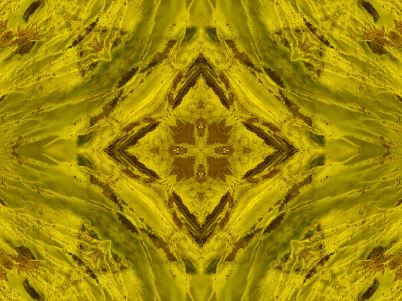 Reflection of colorful flowers in kaleidoscope pattern. Yellow and blue abstract background. Free photo. photo