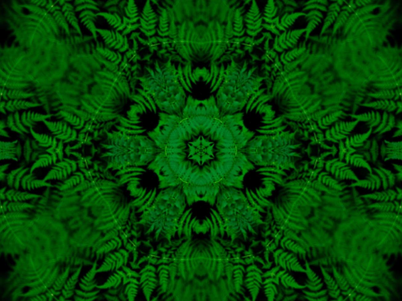Reflection of leaves abstract background. Green kaleidoscope pattern. Free Photo. photo