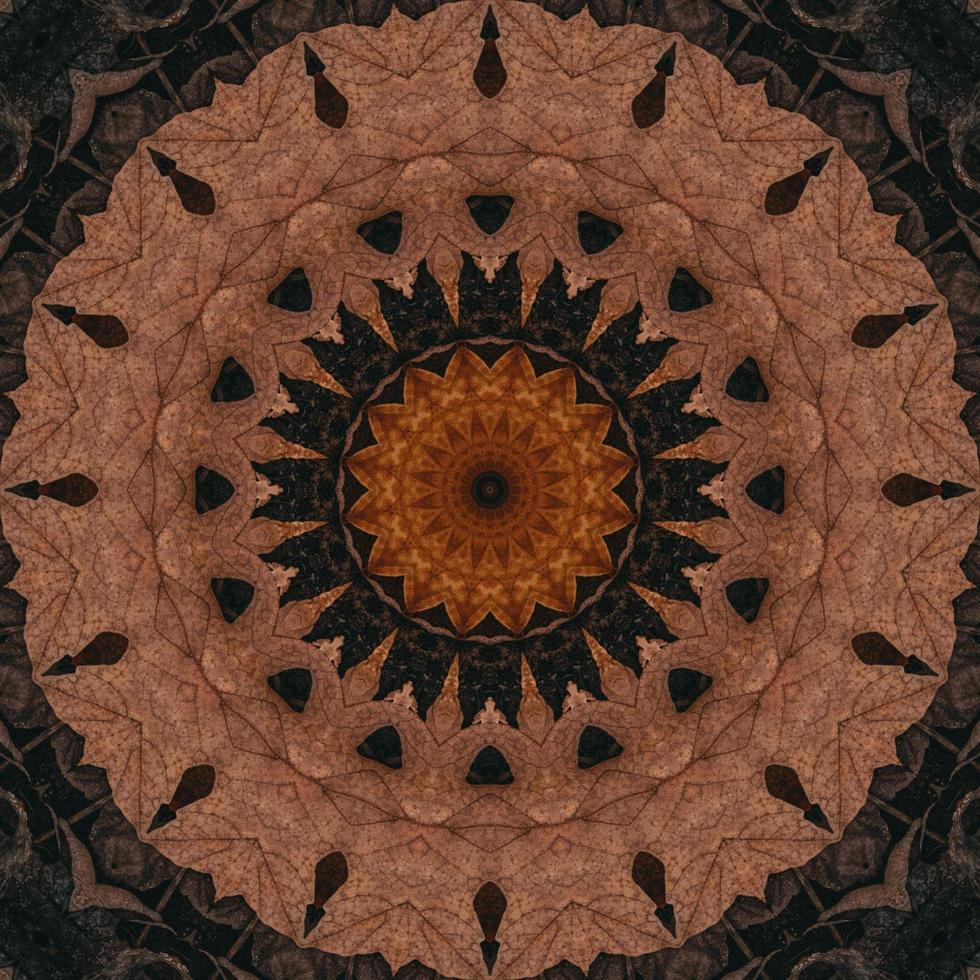 Brown abstract background. Wooden kaleidoscope pattern. Free photo. photo