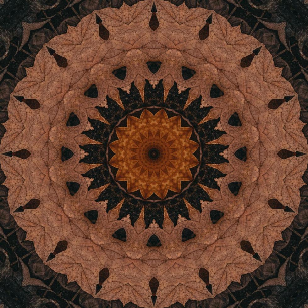 Brown abstract background. Wooden kaleidoscope pattern. Free photo. photo