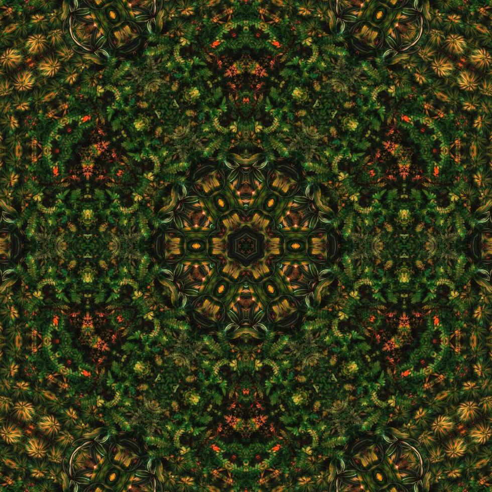 Dark green abstract square background. Kaleidoscope pattern of dark forest. Free background. photo