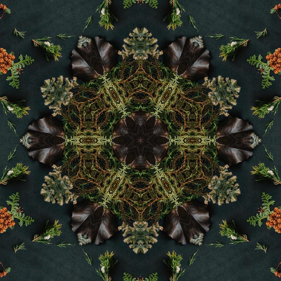 Dark green abstract rectangular background. Spruce kaleidoscope pattern. Free background. photo