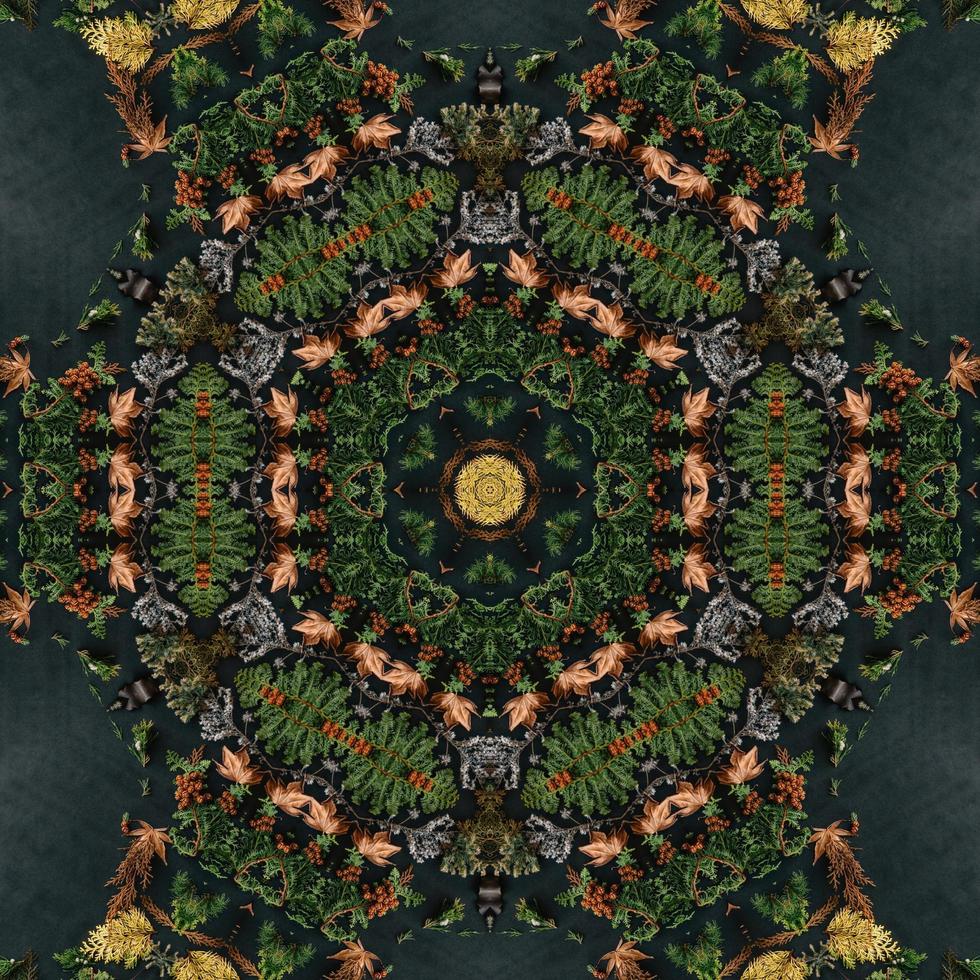 Dark green abstract rectangular background. Spruce kaleidoscope pattern. Free background. photo
