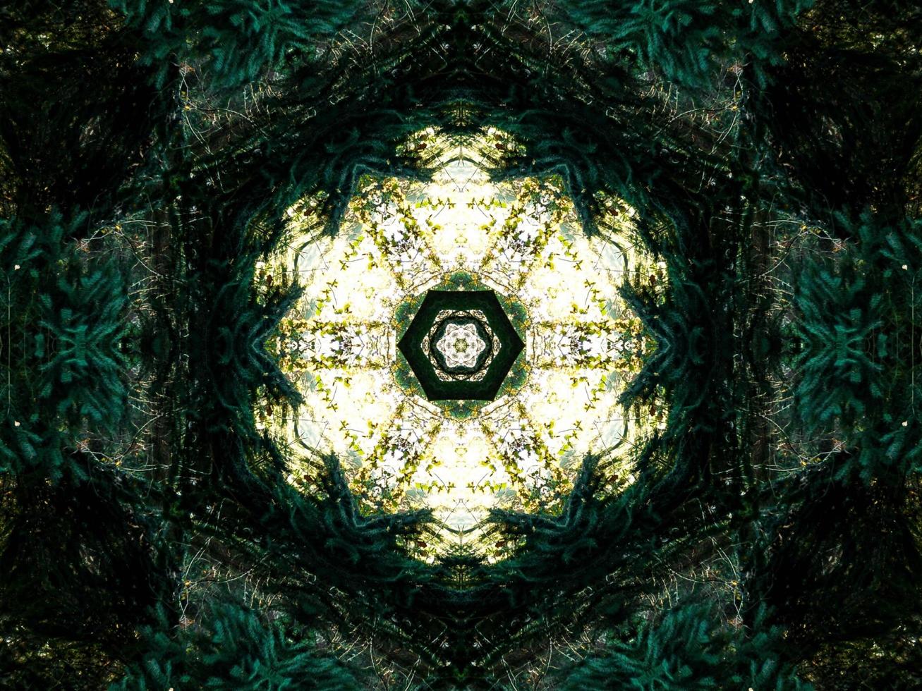 Dark green abstract rectangular background. Dense forest kaleidoscope pattern. Free background. photo