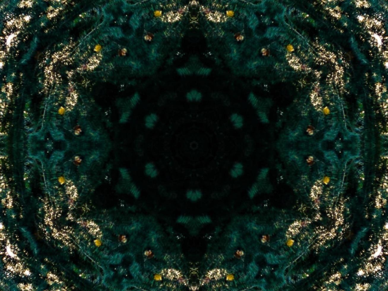 Dark green abstract rectangular background. Dense forest kaleidoscope pattern. Free background. photo