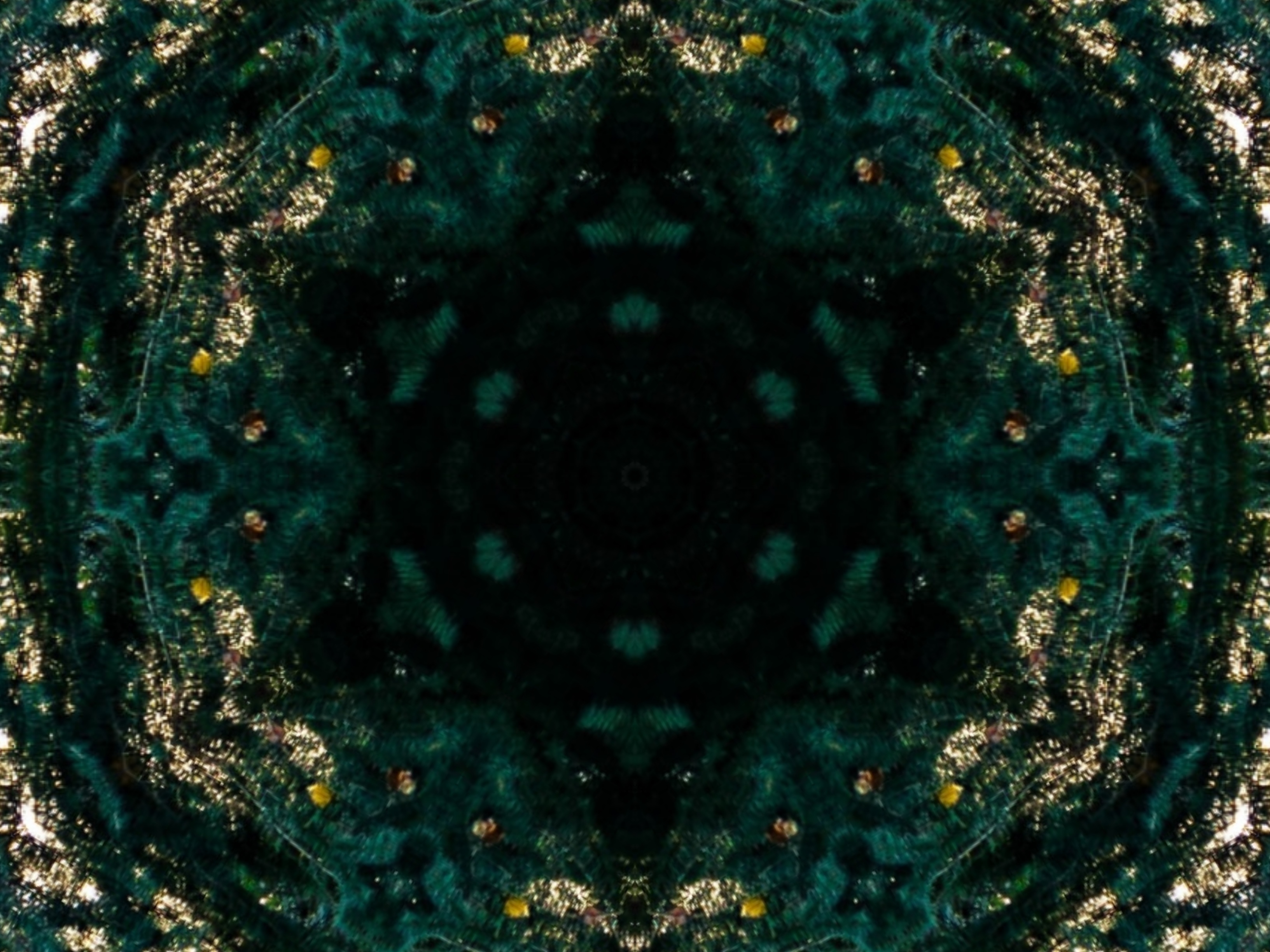 Green Abstract Background Stock Photos, Images and Backgrounds for Free