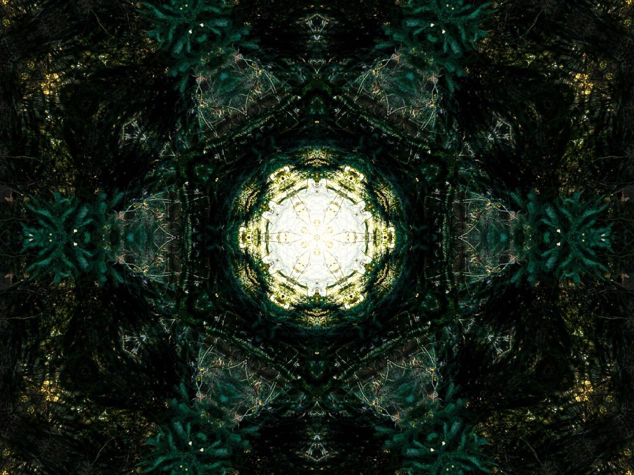 Dark green abstract rectangular background. Dense forest kaleidoscope pattern. Free background. photo