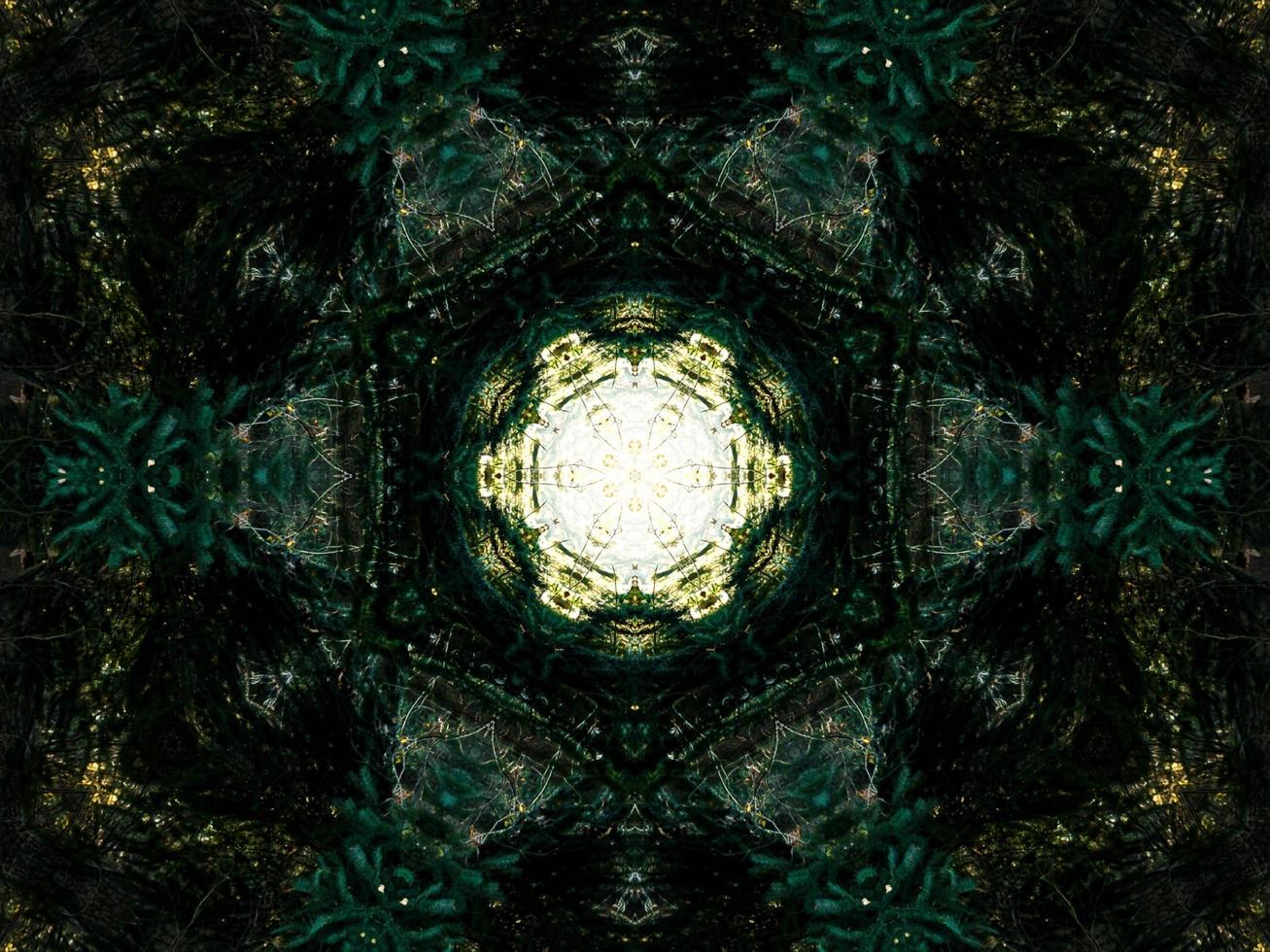 Dark green abstract rectangular background. Dense forest kaleidoscope pattern. Free background. photo