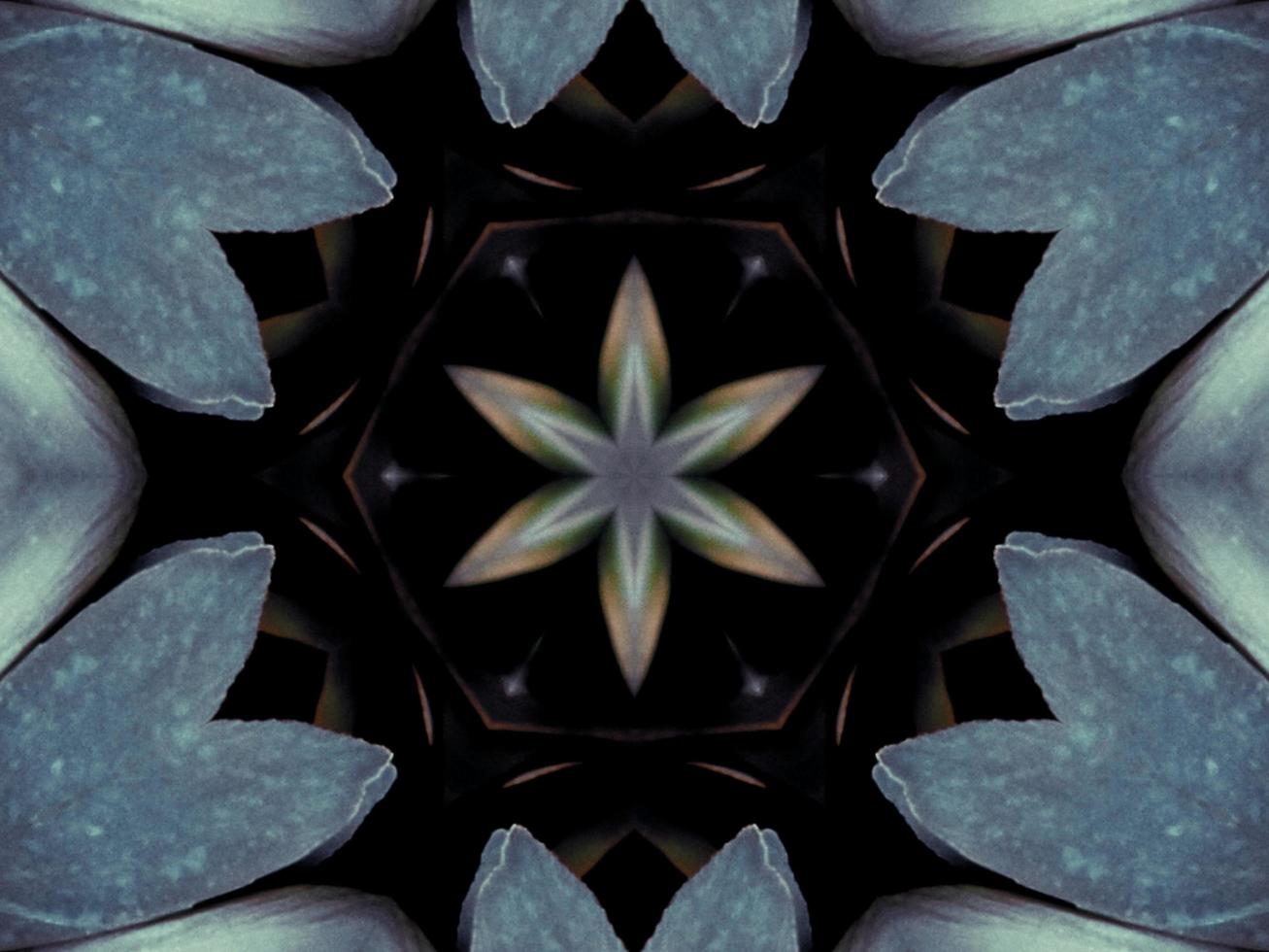 Black and white kaleidoscope pattern. Abstract background. Free photo. photo