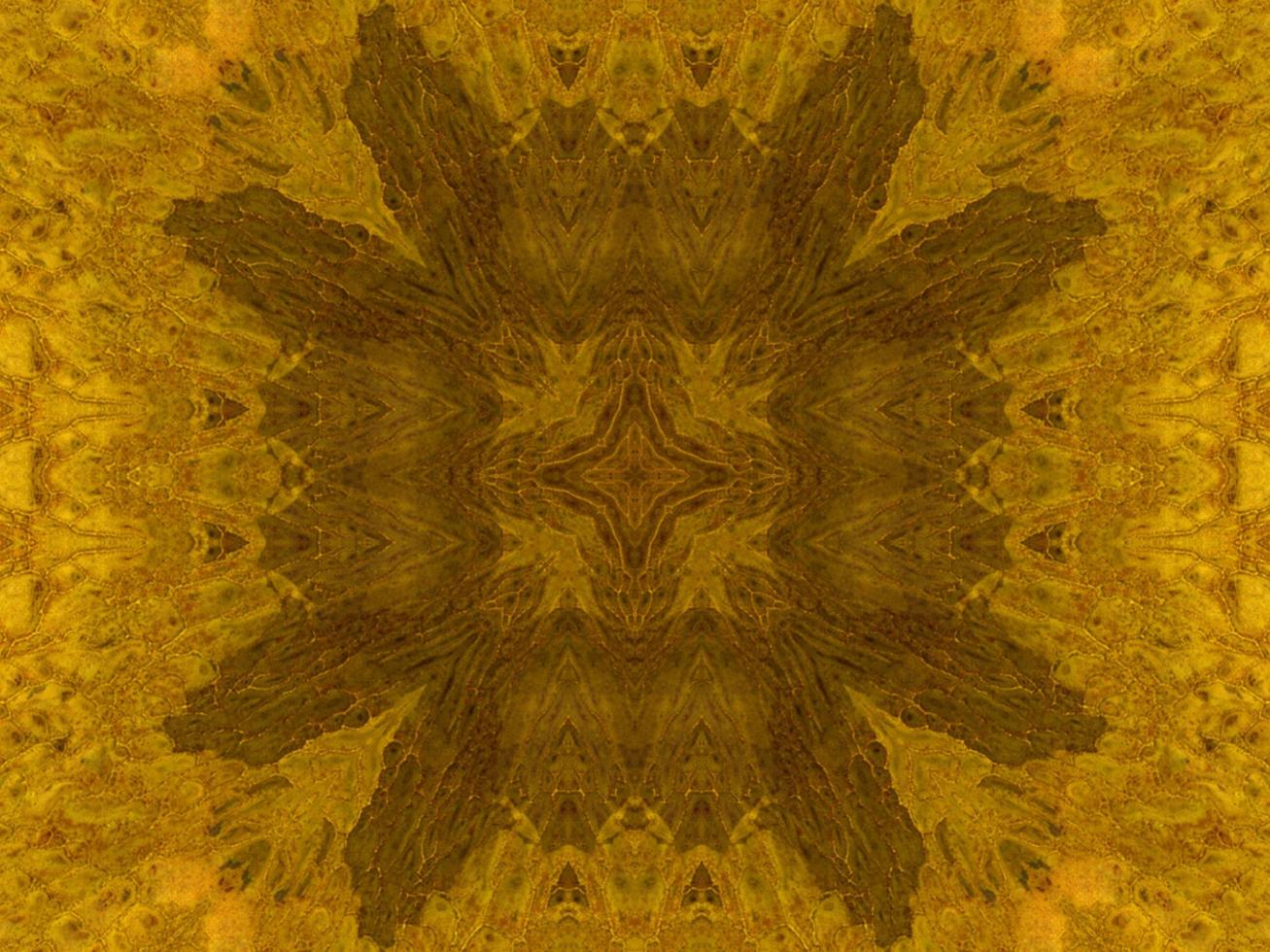 Reflection of colorful flowers in kaleidoscope pattern. Yellow and blue abstract background. Free photo. photo