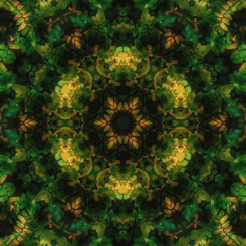 Dark green abstract square background. Kaleidoscope pattern of dark forest. Free background. photo