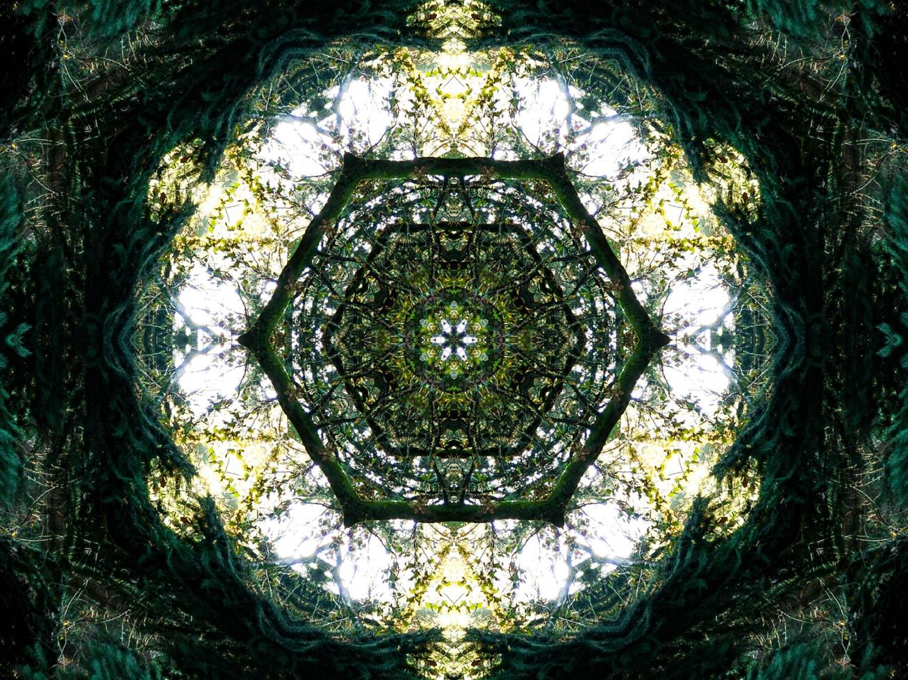 Dark green abstract rectangular background. Dense forest kaleidoscope pattern. Free background. photo