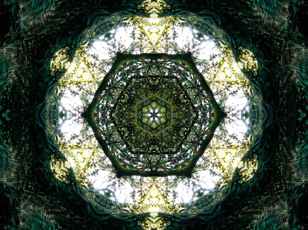 Dark green abstract rectangular background. Dense forest kaleidoscope pattern. Free background. photo