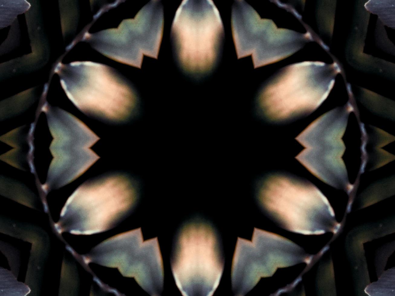 Black and white kaleidoscope pattern. Abstract background. Free photo. photo