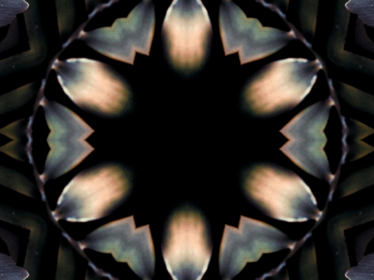 Black and white kaleidoscope pattern. Abstract background. Free photo. photo