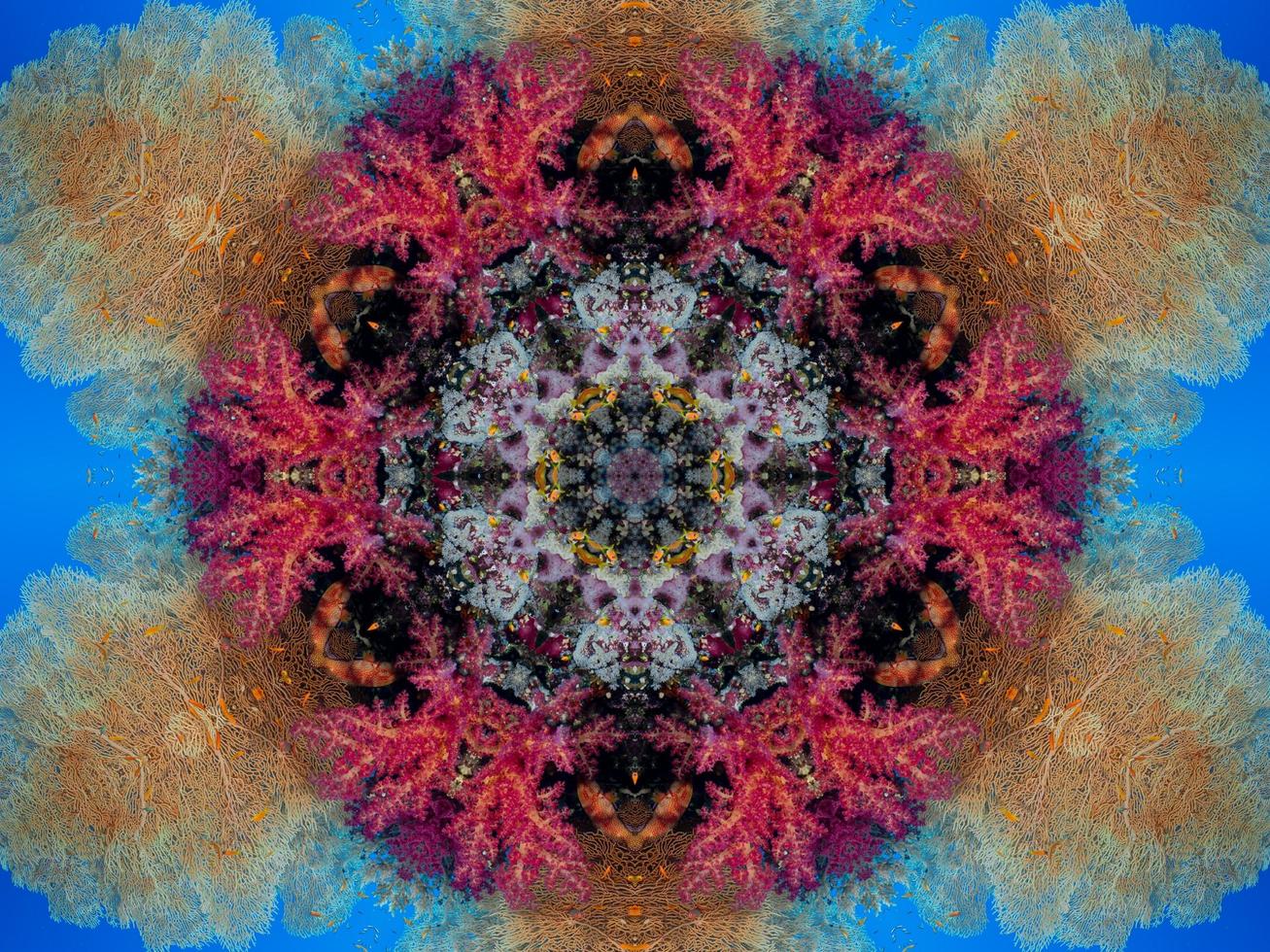 Colorful floral reflection kaleidoscope pattern. Abstract background. Free photo. photo