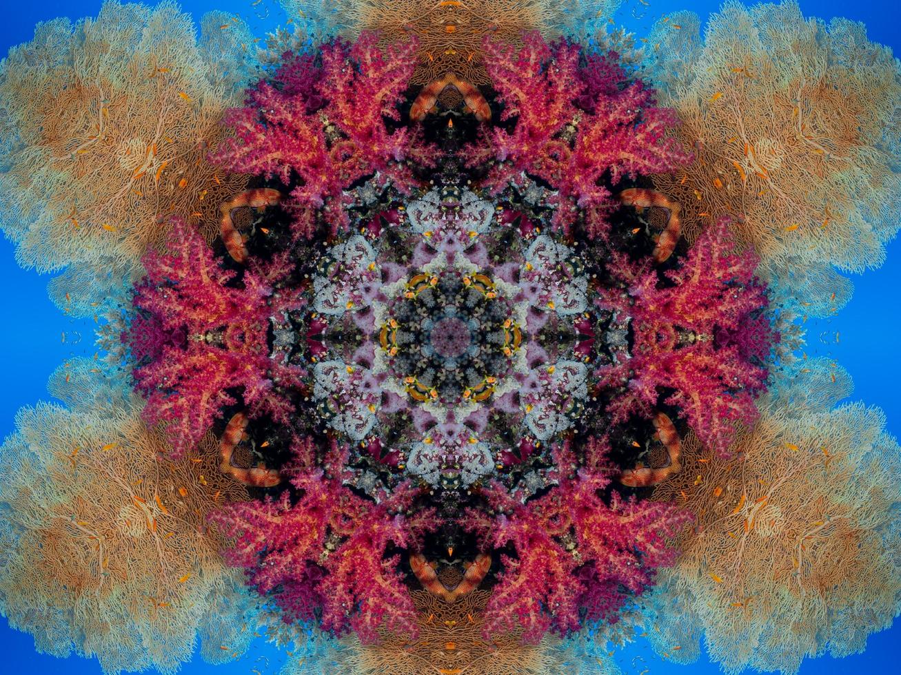 Colorful floral reflection kaleidoscope pattern. Abstract background. Free photo. photo