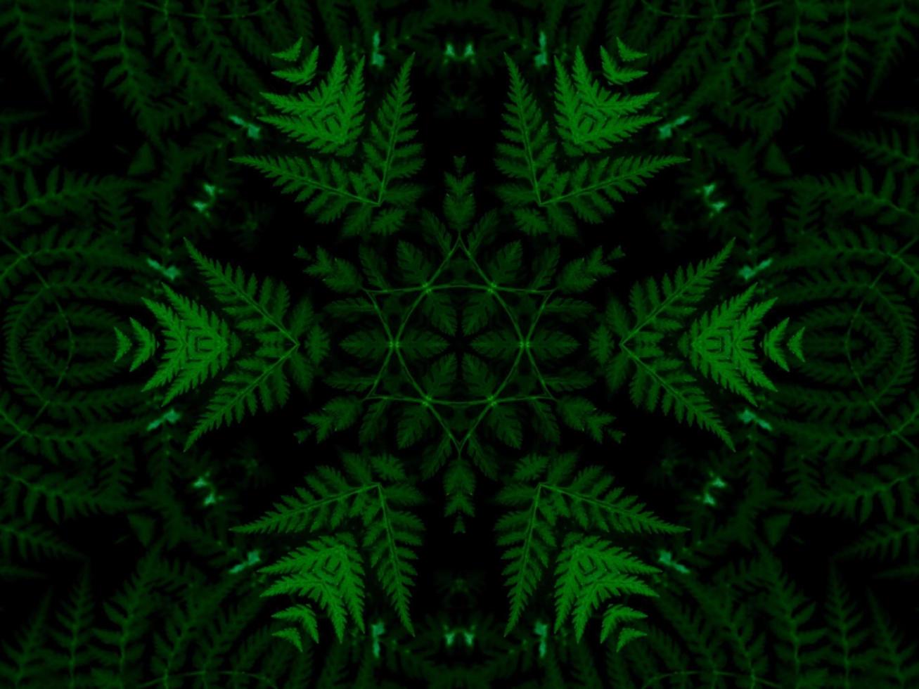 Reflection of leaves abstract background. Green kaleidoscope pattern. Free Photo. photo
