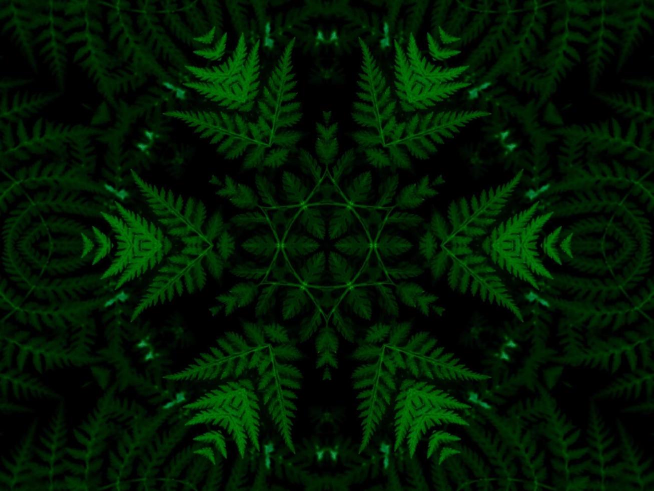 Reflection of leaves abstract background. Green kaleidoscope pattern. Free Photo. photo