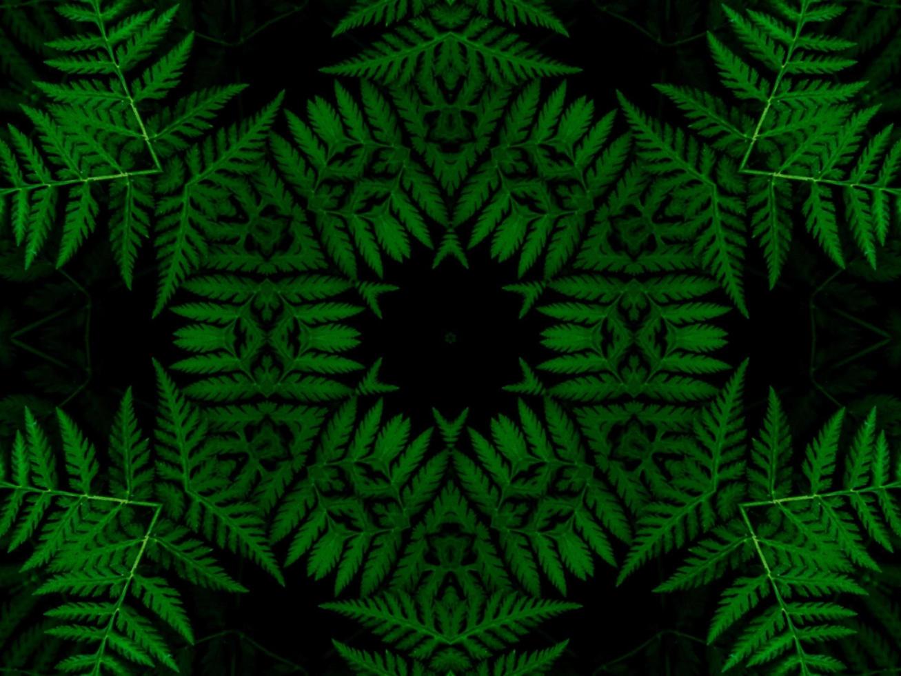 Reflection of leaves abstract background. Green kaleidoscope pattern. Free Photo. photo