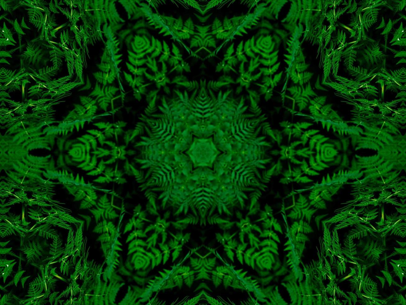 Reflection of leaves abstract background. Green kaleidoscope pattern. Free Photo. photo
