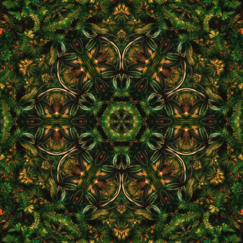 Dark green abstract square background. Kaleidoscope pattern of dark forest. Free background. photo