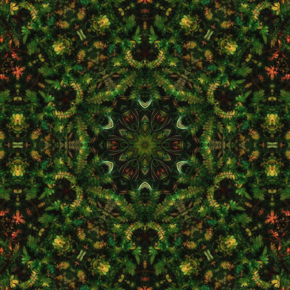Dark green abstract square background. Kaleidoscope pattern of dark forest. Free background. photo