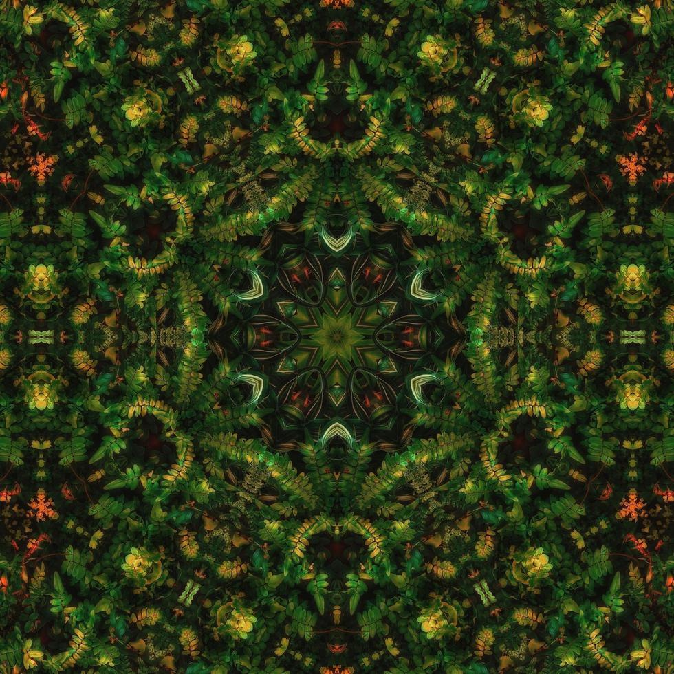 fondo cuadrado abstracto verde oscuro. patrón de caleidoscopio de bosque oscuro. fondo libre. foto