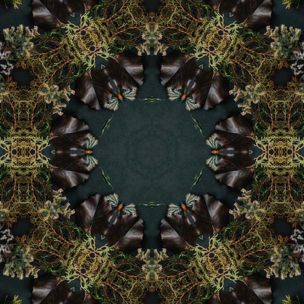Dark green abstract rectangular background. Spruce kaleidoscope pattern. Free background. photo
