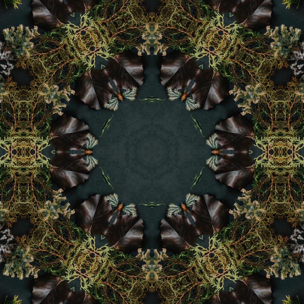 Dark green abstract rectangular background. Spruce kaleidoscope pattern. Free background. photo