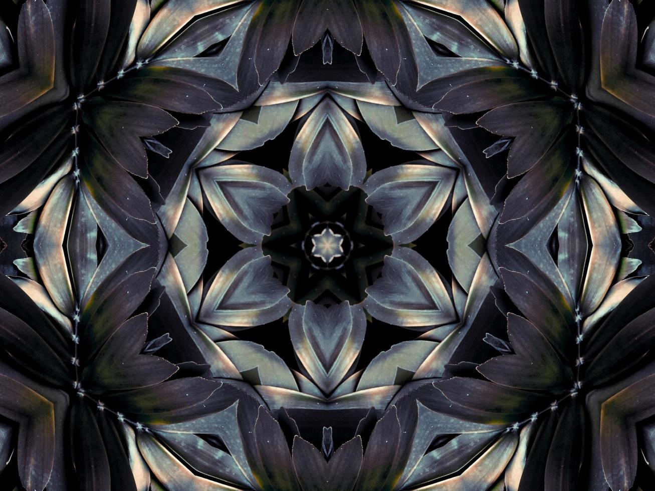 Black and white kaleidoscope pattern. Abstract background. Free photo. photo