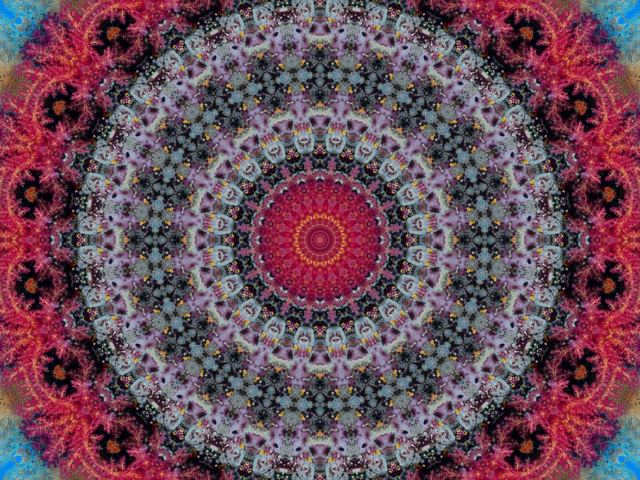 Colorful floral reflection kaleidoscope pattern. Abstract background. Free photo. photo