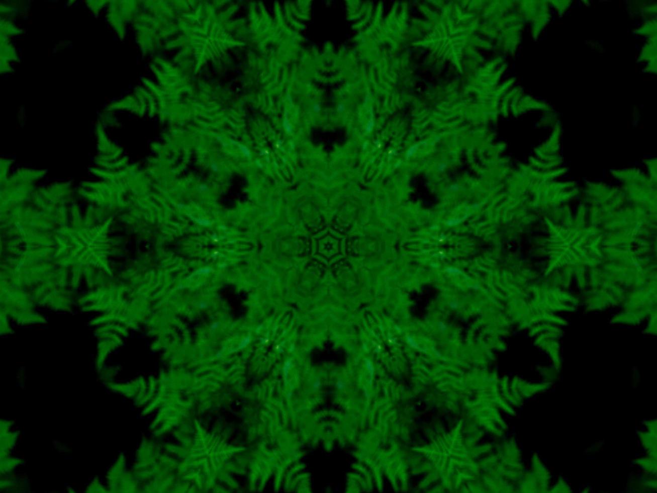 Reflection of leaves abstract background. Green kaleidoscope pattern. Free Photo. photo
