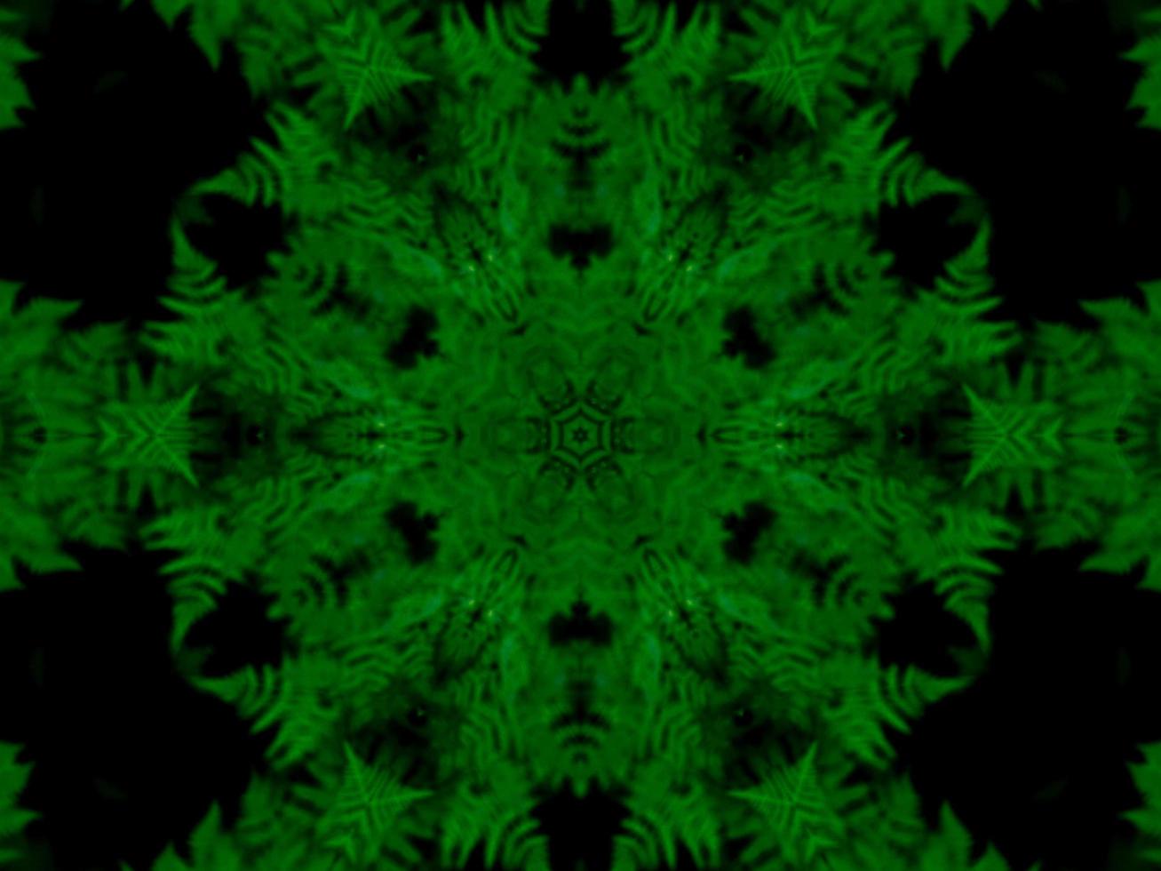 Reflection of leaves abstract background. Green kaleidoscope pattern. Free Photo. photo