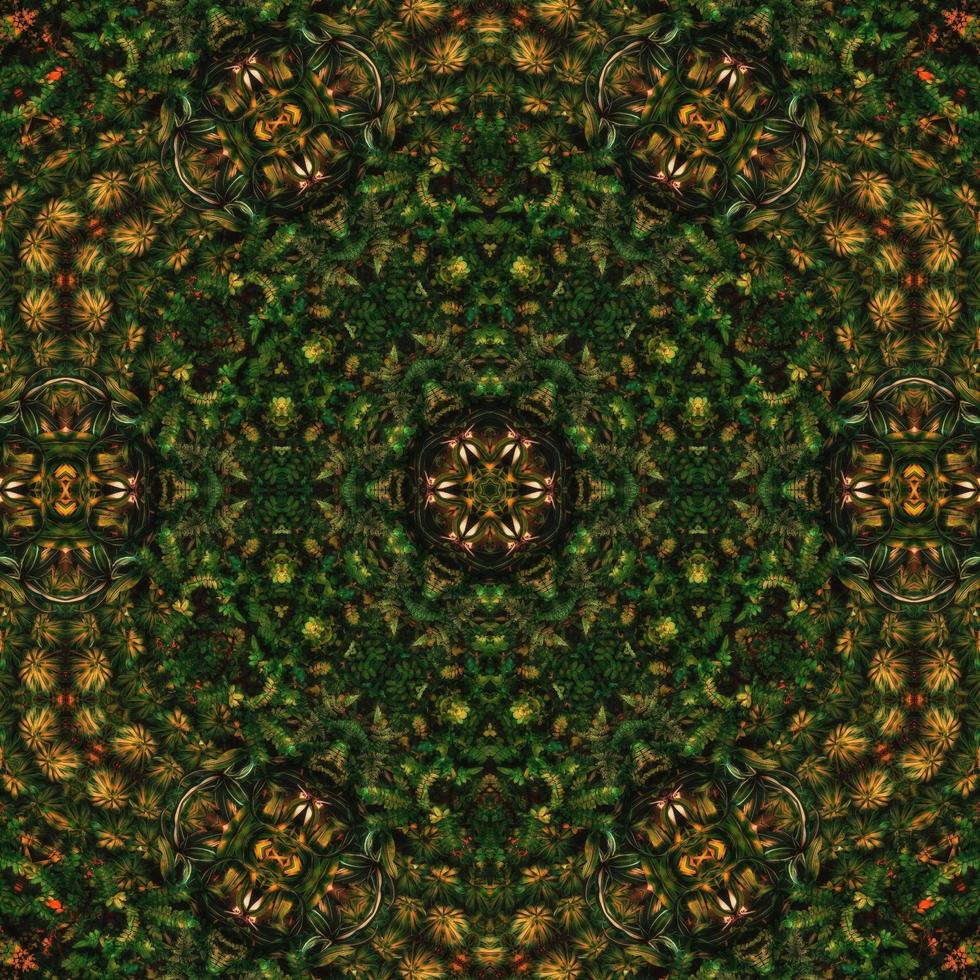 Dark green abstract square background. Kaleidoscope pattern of dark forest. Free background. photo