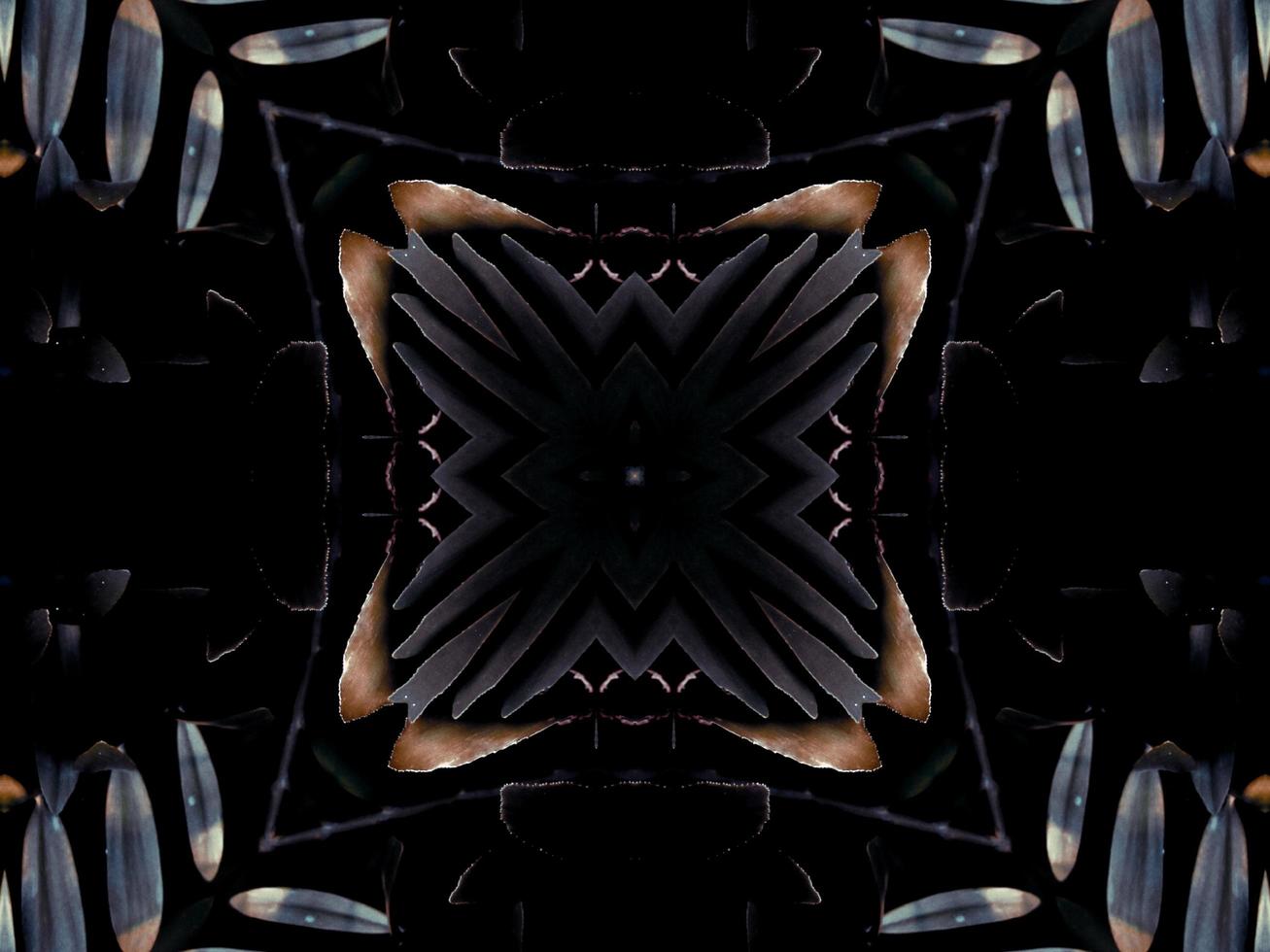 Black and white kaleidoscope pattern. Abstract background. Free photo. photo