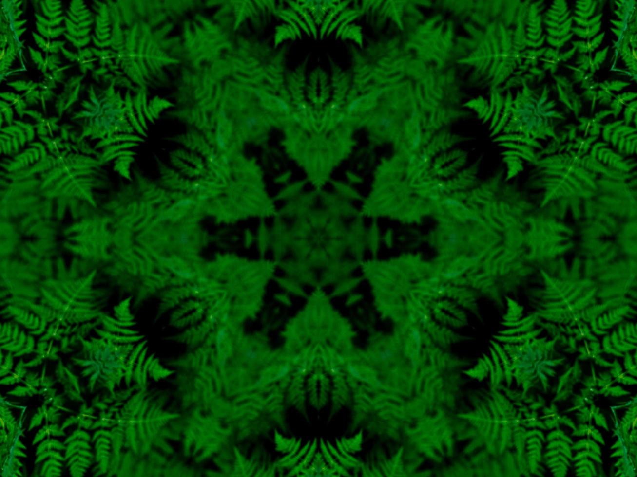 Reflection of leaves abstract background. Green kaleidoscope pattern. Free Photo. photo