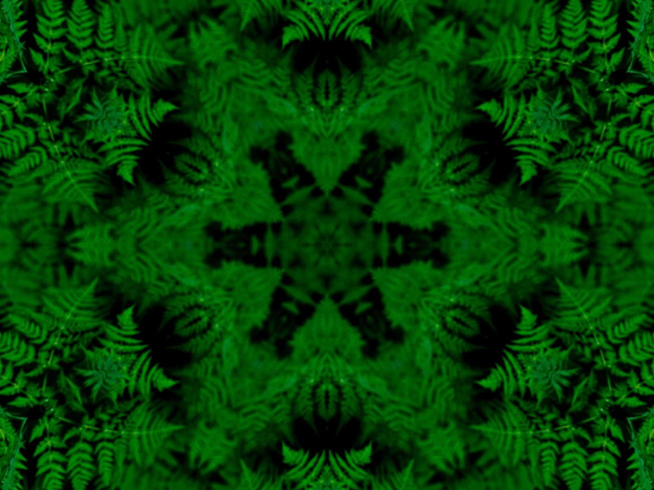 Reflection of leaves abstract background. Green kaleidoscope pattern. Free Photo. photo