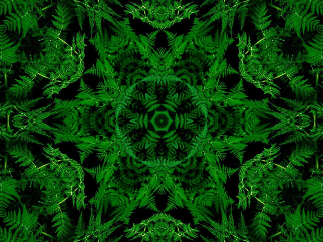 Reflection of leaves abstract background. Green kaleidoscope pattern. Free Photo. photo
