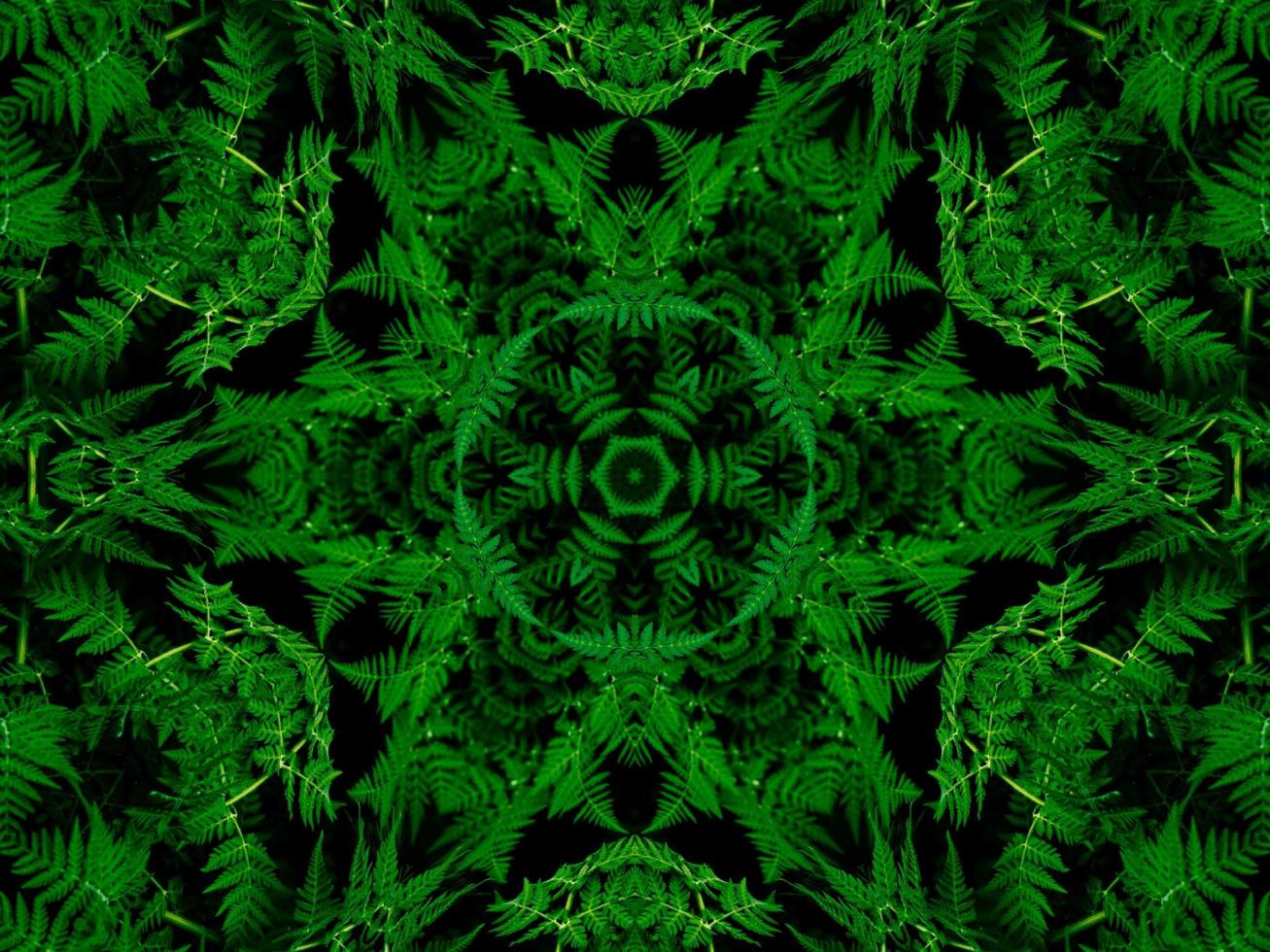 Reflection of leaves abstract background. Green kaleidoscope pattern. Free Photo. photo