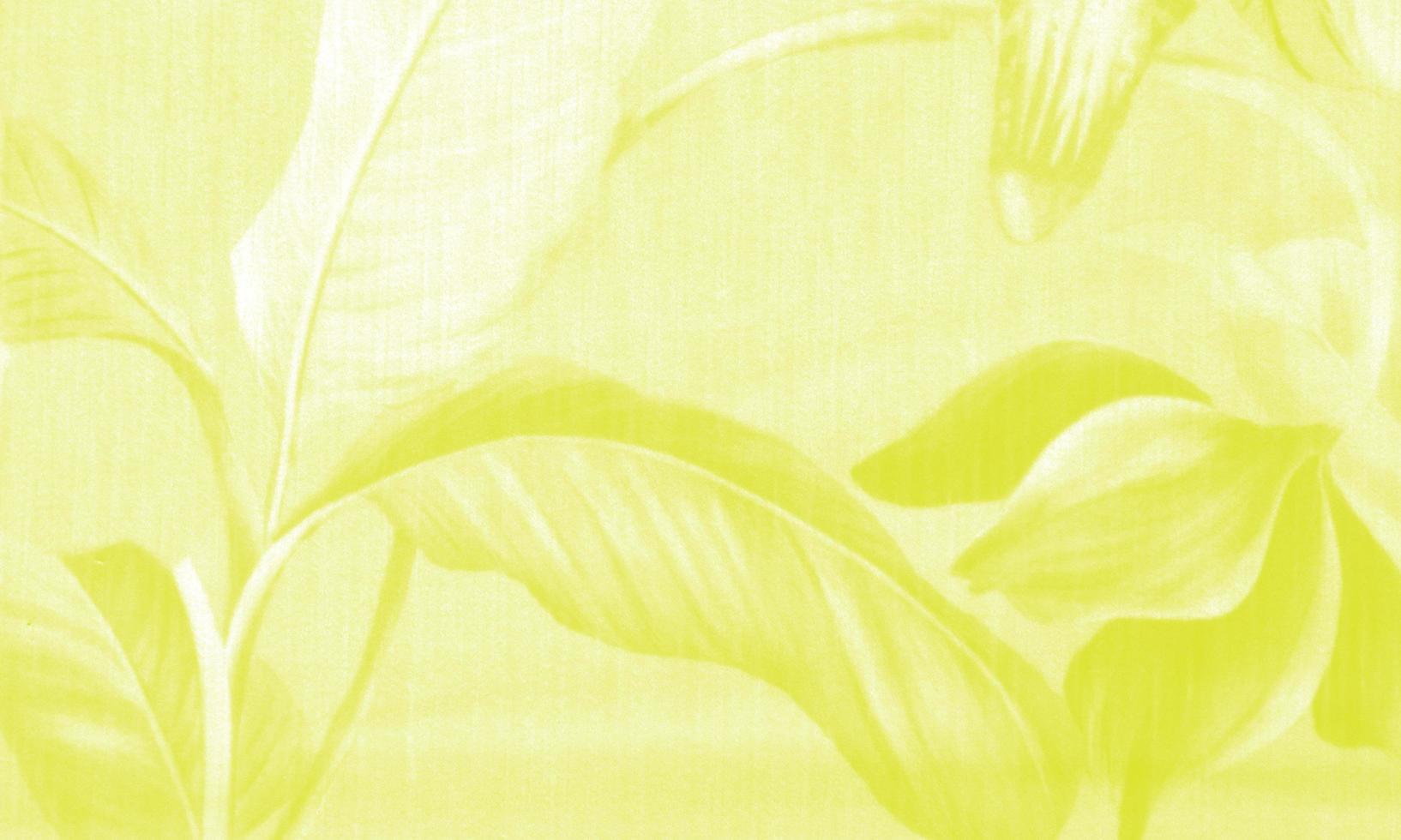 fabric texture with abstract background photo