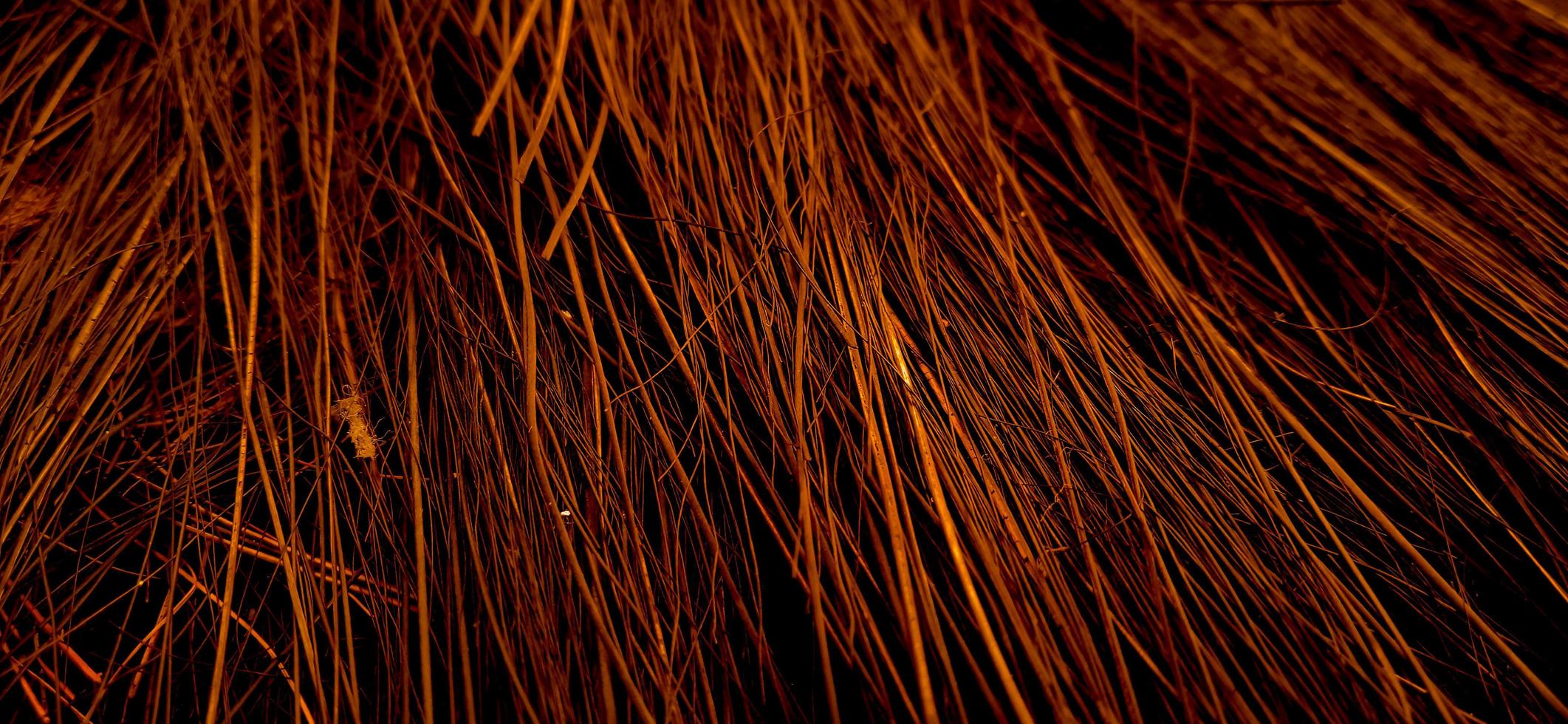 Red orange colors of sharp needle-like structure of coconut fiber with dark background photo