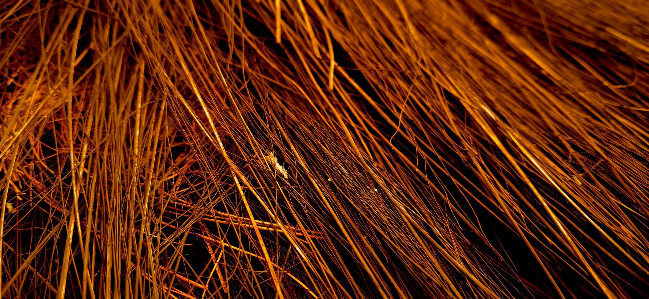 Red orange colors of sharp needle-like structure of coconut fiber with dark background photo