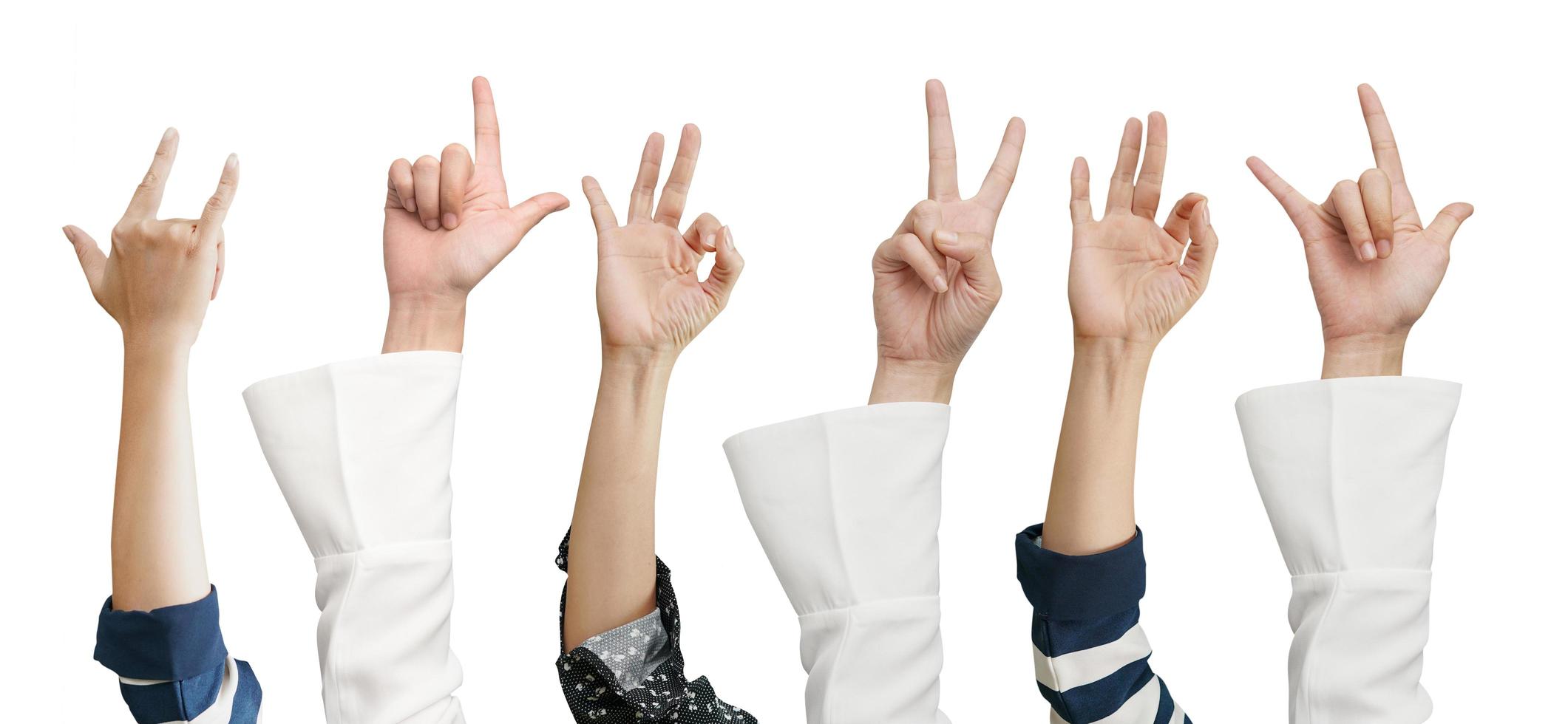 Set of office woman's hand on a white background photo