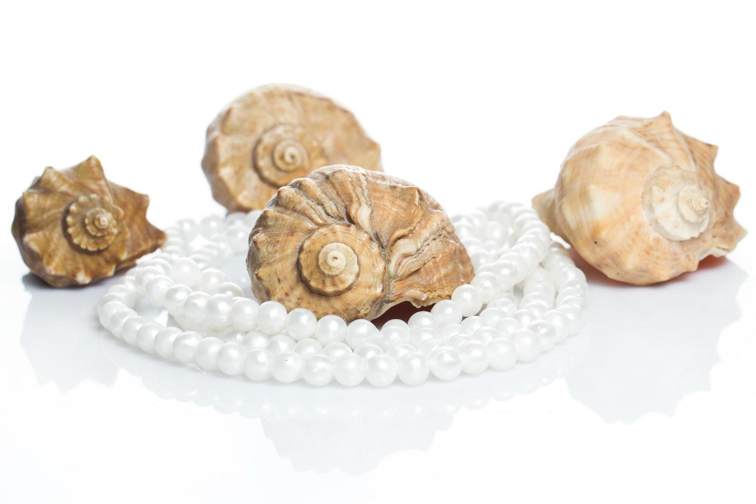 Seashell and pearl necklace photo