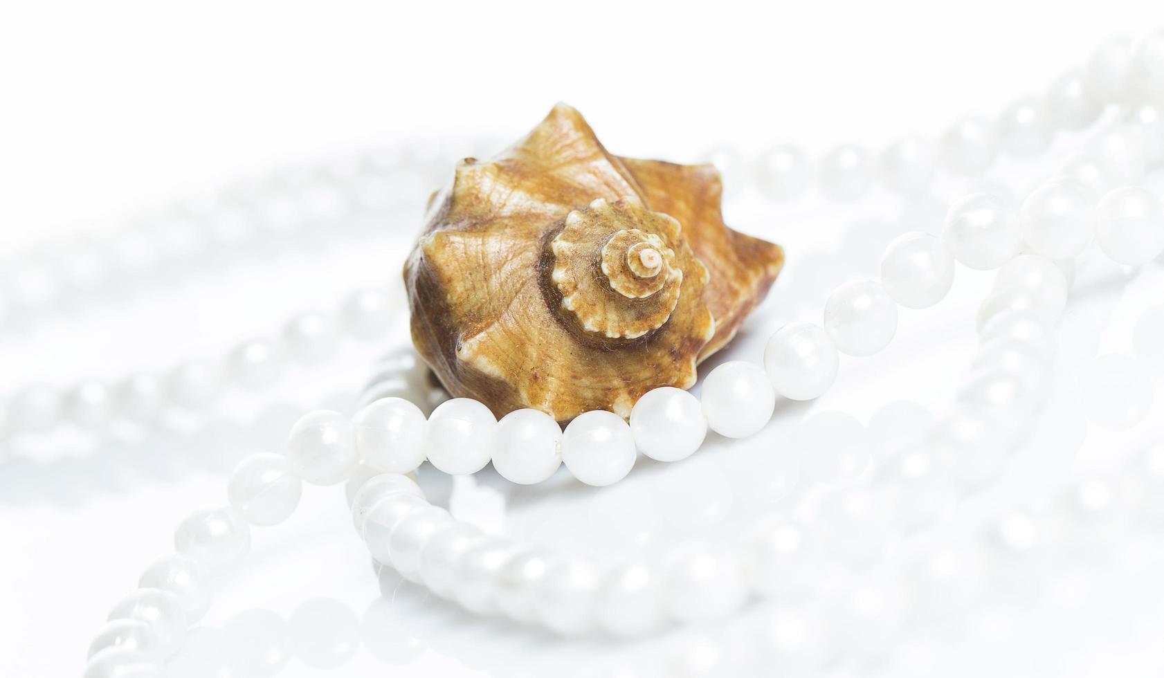 Seashell and pearl necklace photo