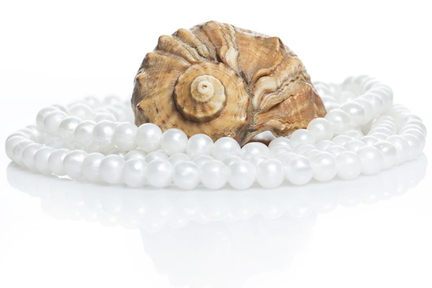 Seashell and pearl necklace photo